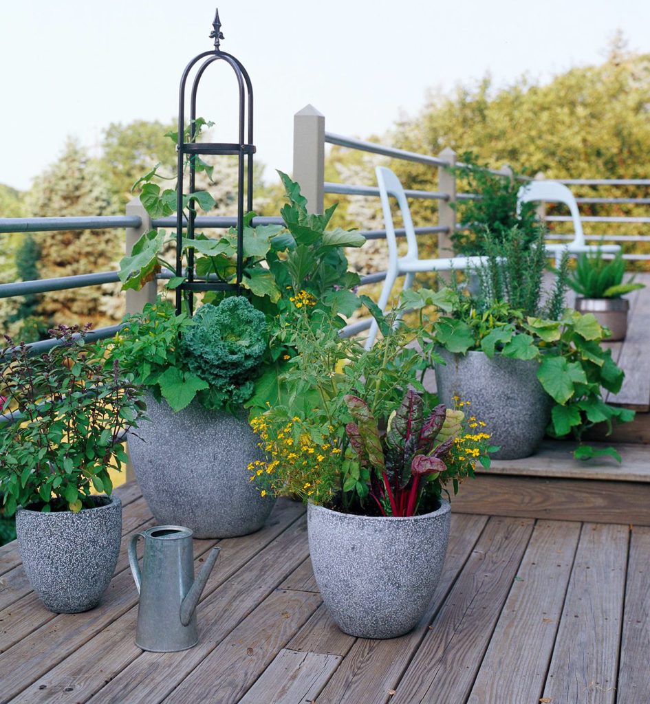 veggie planters